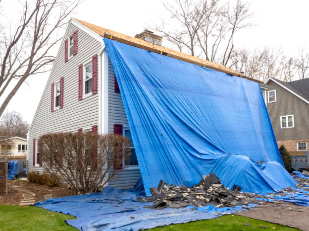 Best Demolition Debris Removal  in Bridgetown, MS